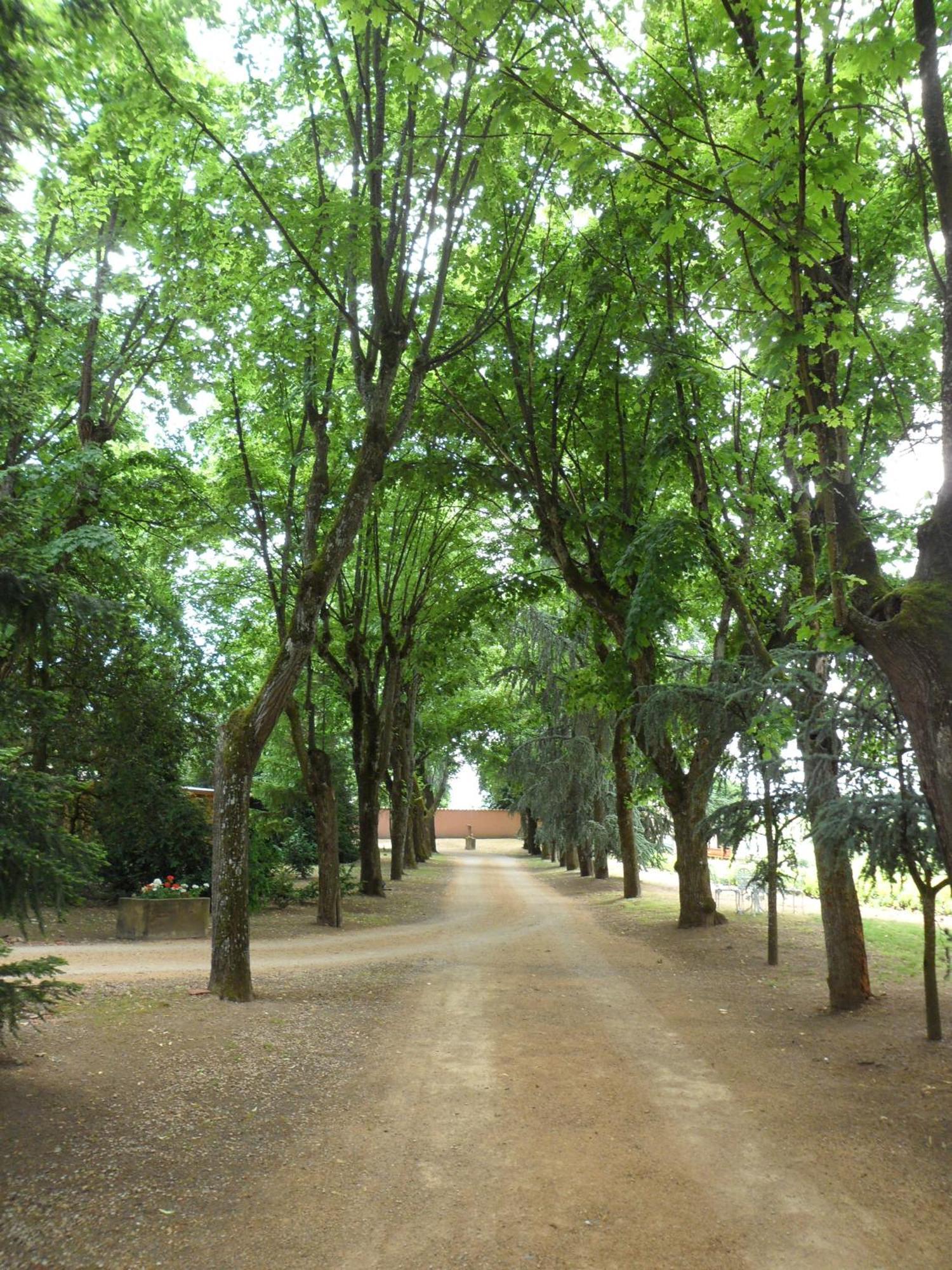 Chateau De La Chapelle Des Bois Fleurie Eksteriør billede