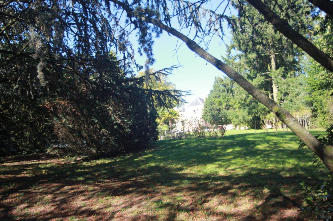 Chateau De La Chapelle Des Bois Fleurie Værelse billede
